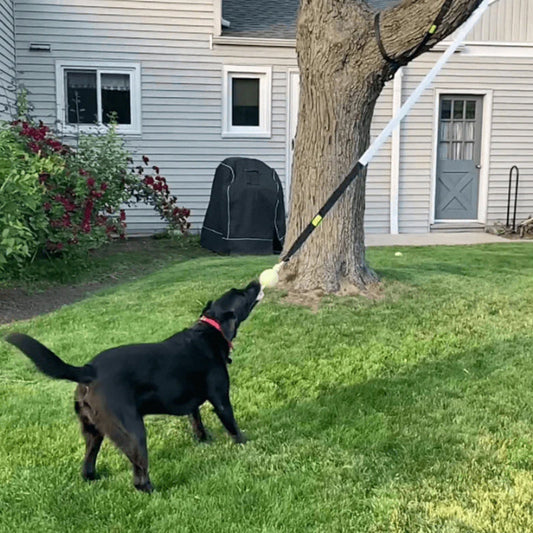 🐾Рустикална външна играчка за дърпане на въже за кучета, изработена от въже