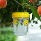 【1+1 безплатно】🐝Висяща капан за оси, захранвана със слънчева енергия