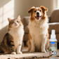 🐶🐱 Спрей за грижа за зъбите на кучета и котки без миене | Свеж дъх • Защита срещу зъбен камък и плака • Формула с естествени билки 🦷✨
